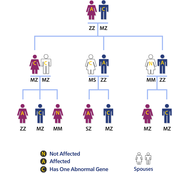 GENE ALLELE CHART